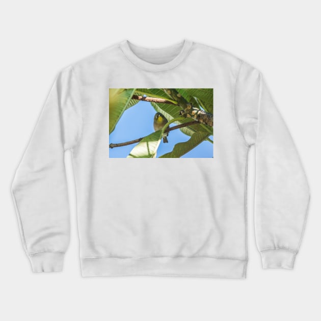 Japanese white-eye of honolulu Crewneck Sweatshirt by KensLensDesigns